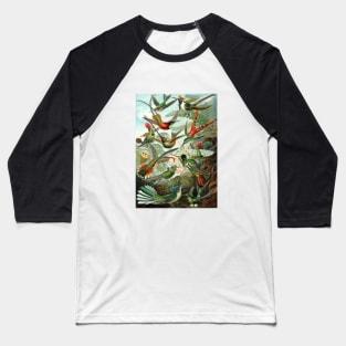 Ernst Haeckel Hummingbirds Baseball T-Shirt